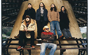 bees 2.tif