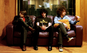 Albert Hammond Jr