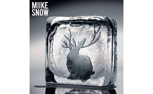 miike snowsleeve110809