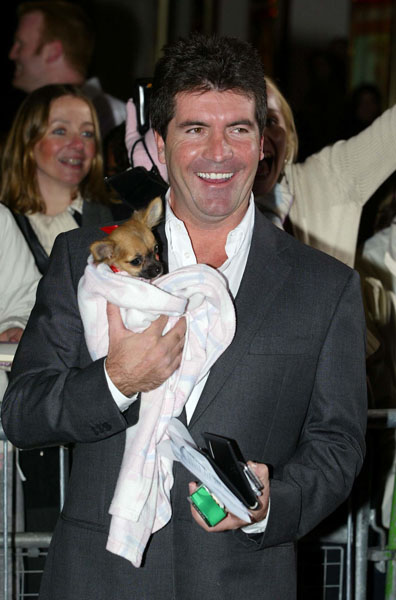 simon cowell