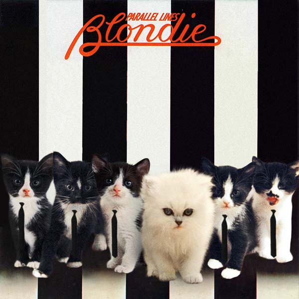 28 Kittens On Album Covers NME