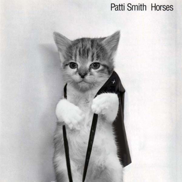 28 Kittens On Album Covers NME