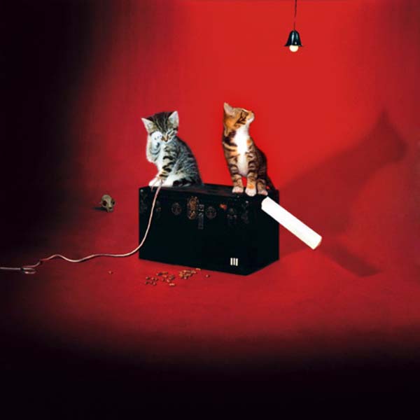 28 Kittens On Album Covers NME