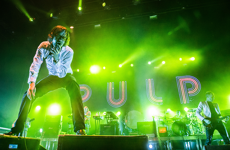 Pulp