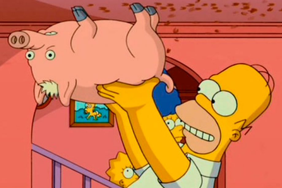 Spiderpig