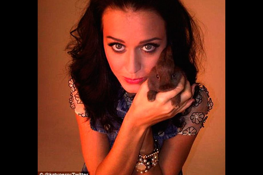 Katy Perry