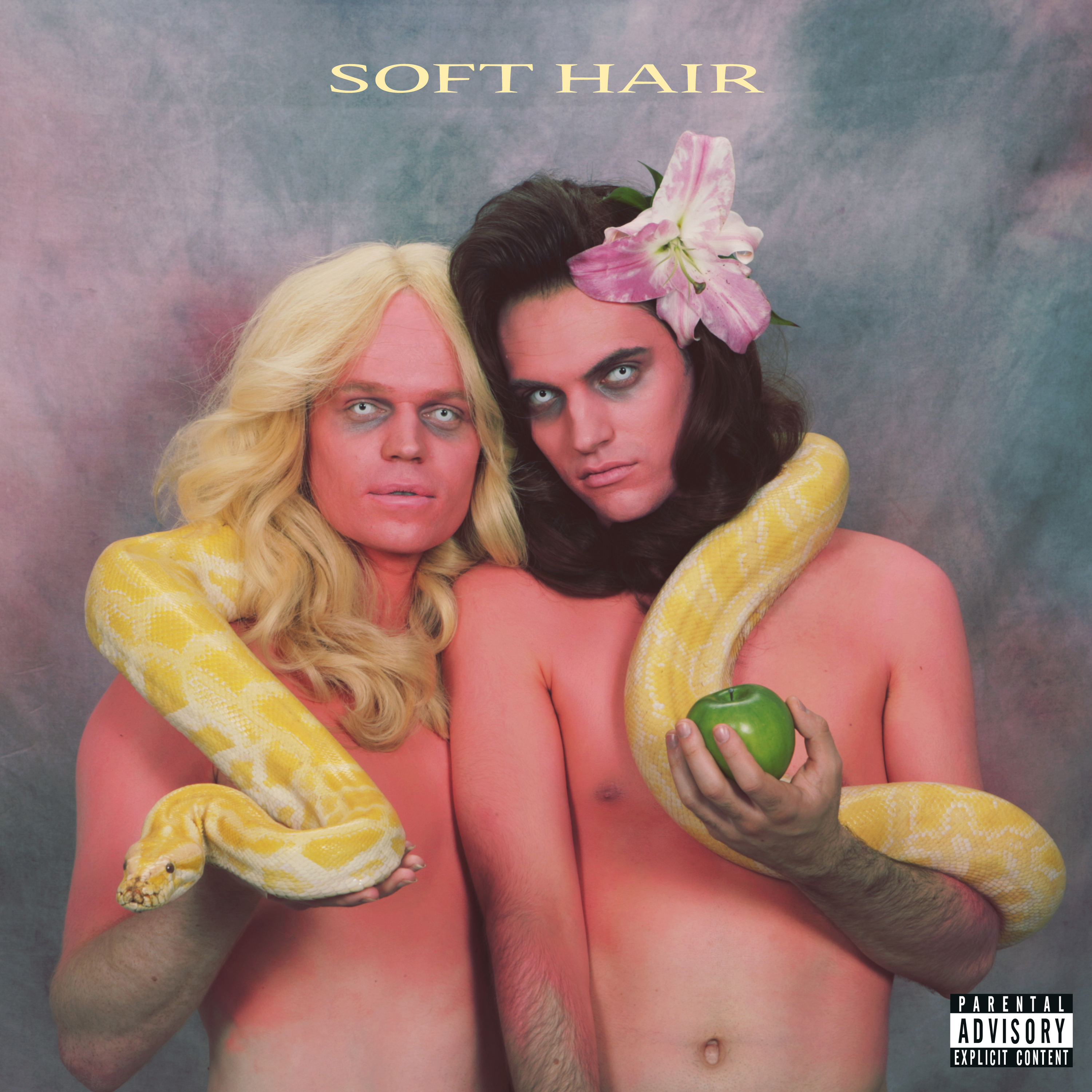 soft-hair-packshot_hi-res_24865012_141784521