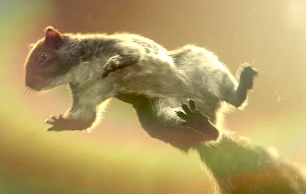 John Lewis Christmas Advert 2016: a squirrel