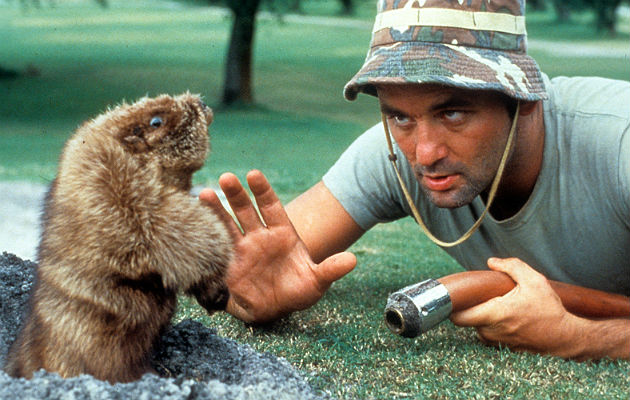 Bill Murray