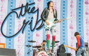 The Cribs