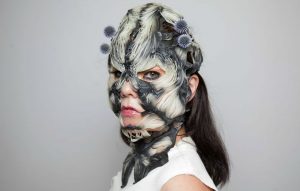 Bjork songbook