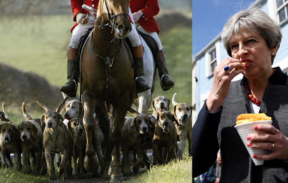 theresa may fox hunting