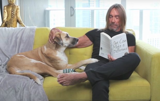 Iggy Pop, PETA