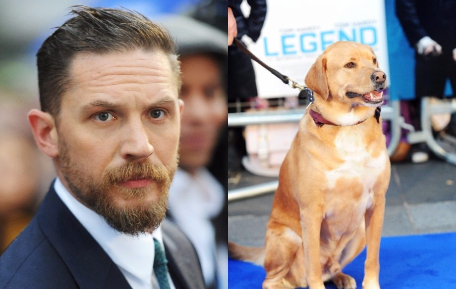 tom s dogs read tom hardy s emotional tribute after his woody tom s dogs read tom hardy s emotional tribute after his woody