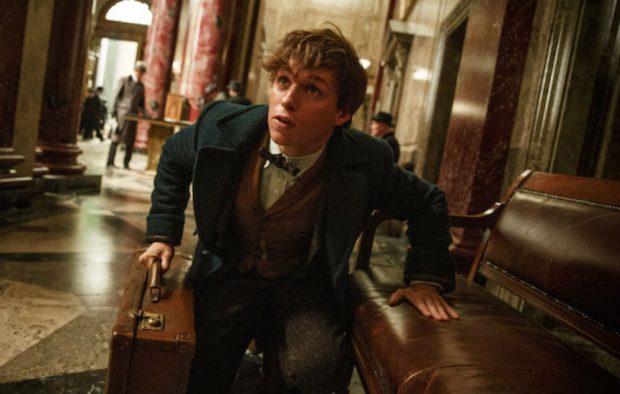 fantastic beasts sequel