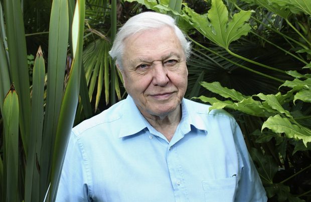 David Attenborough