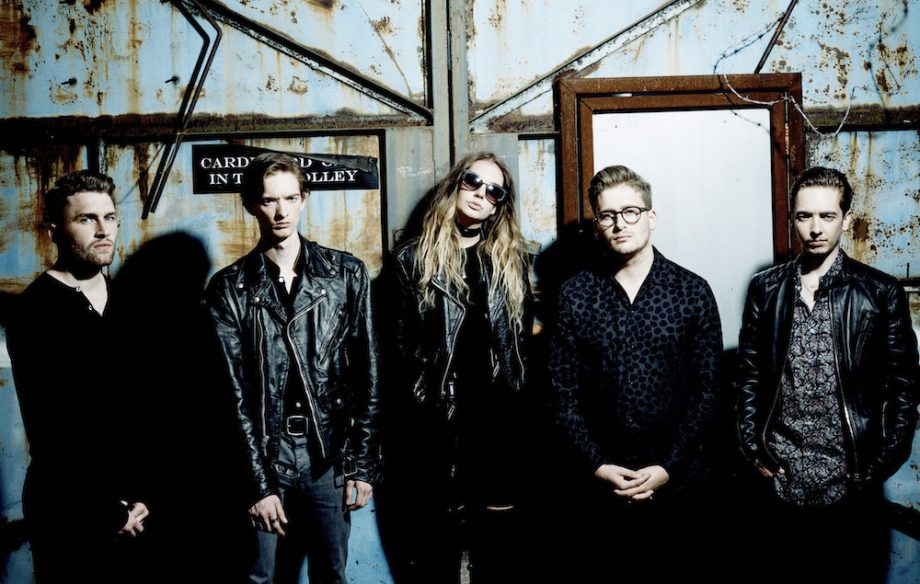 Marmozets