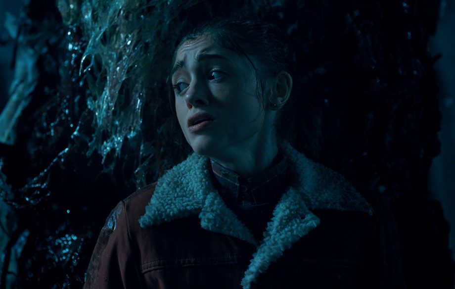 Stranger things the upside down