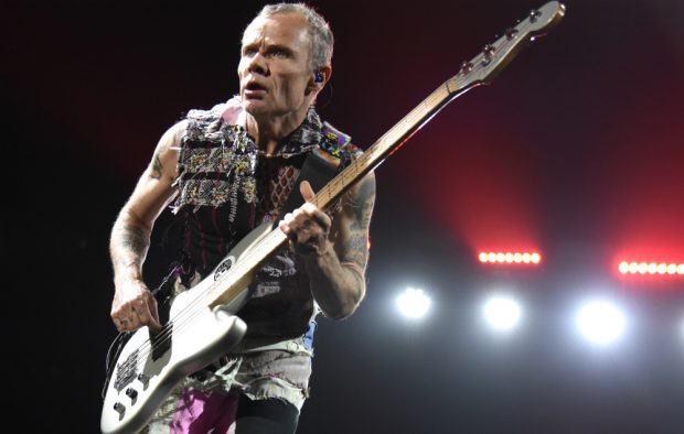 Red Hot Chili Peppers' bassist Flea, live