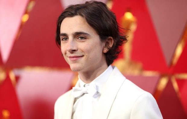 timothee chalamet red carpet pointing