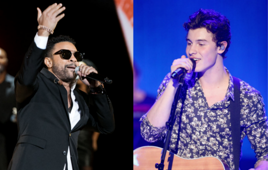 Shaggy / Shawn Mendes