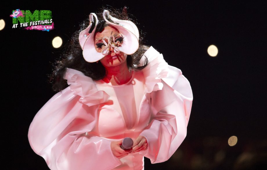 Björk APE