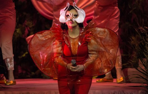 Björk