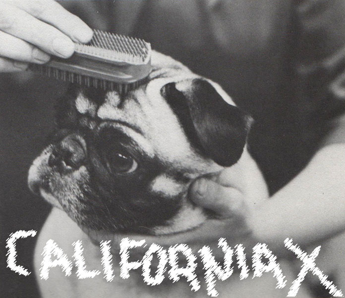 California X California X