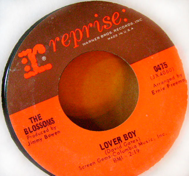 The Blossoms - 'Lover Boy'