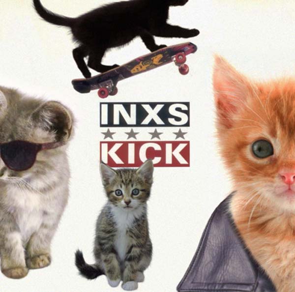 28 Kittens On Album Covers