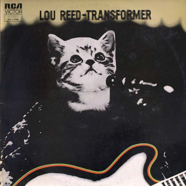 28 Kittens On Album Covers