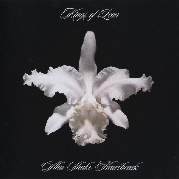 Kings of Leon, ‘Aha Shake Heartbreak’