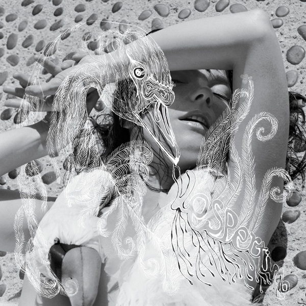 Björk, 'Vespertine'