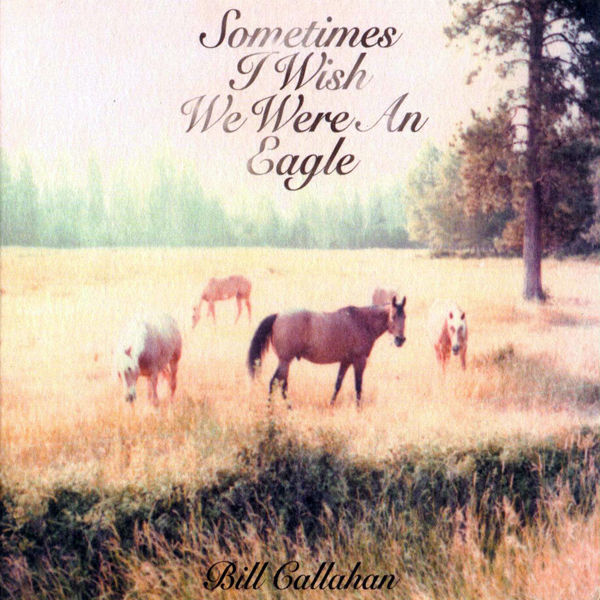 Bill Callahan, 'Sometimes I Wish We Were An Eagle'
