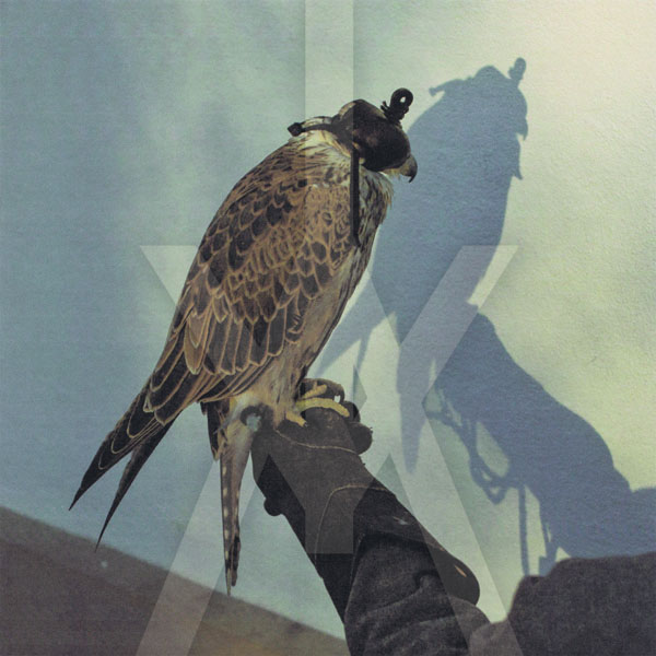 21. Iceage - 'You’re Nothing'