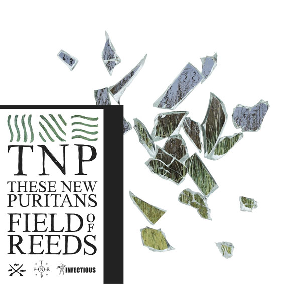 28. These New Puritans - 'Field Of Reeds'