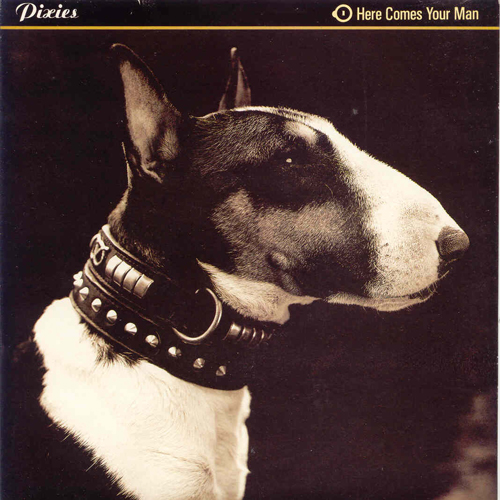 Pixies - 'Here Comes Your Man'