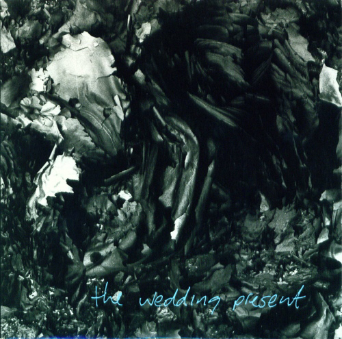 The Wedding Present - 'My Favourite Dress'