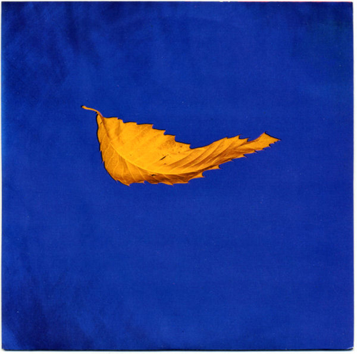 New Order - 'True Faith'