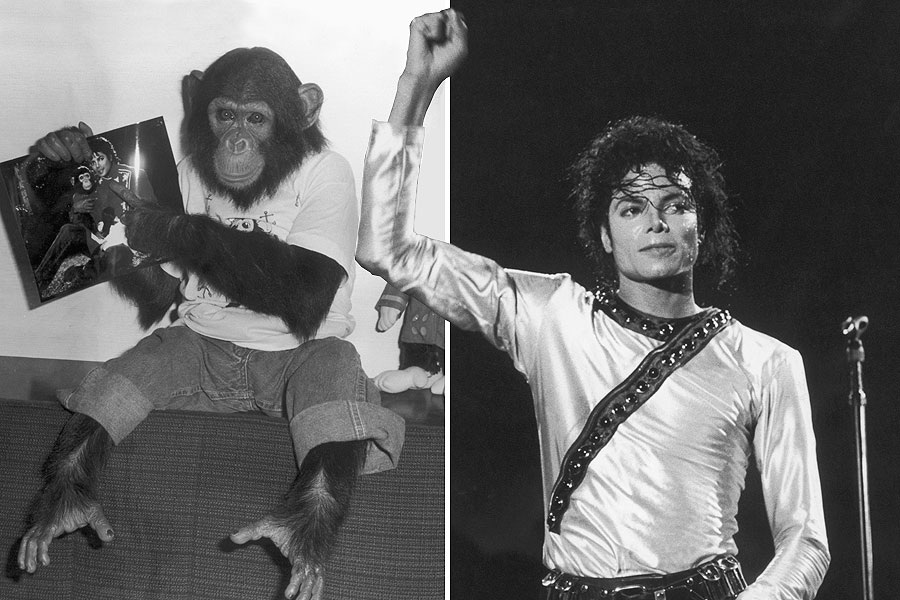 Michael Jackson's chimp Bubbles was 'beaten' while in his care, claims