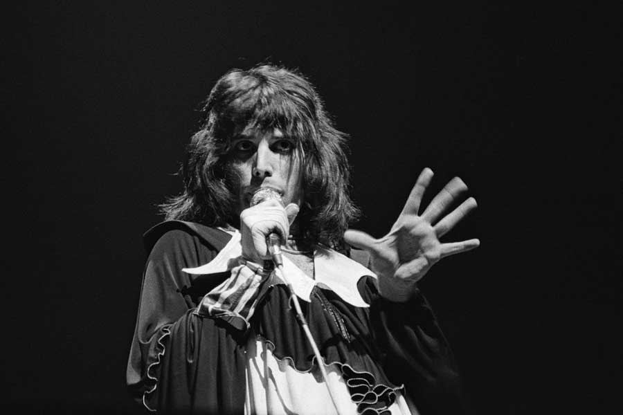 Freddie Mercury – Market stall owner