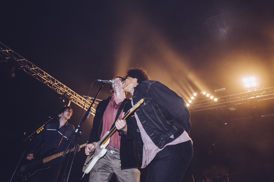 Palma Violets
