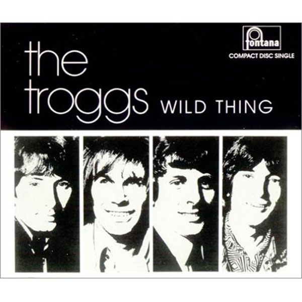 The Troggs – 'Wild Thing' (1966)