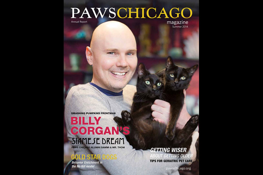 billy-corgan-sells-fuck-you-anderson-cooper-t-shirts-in-retaliation