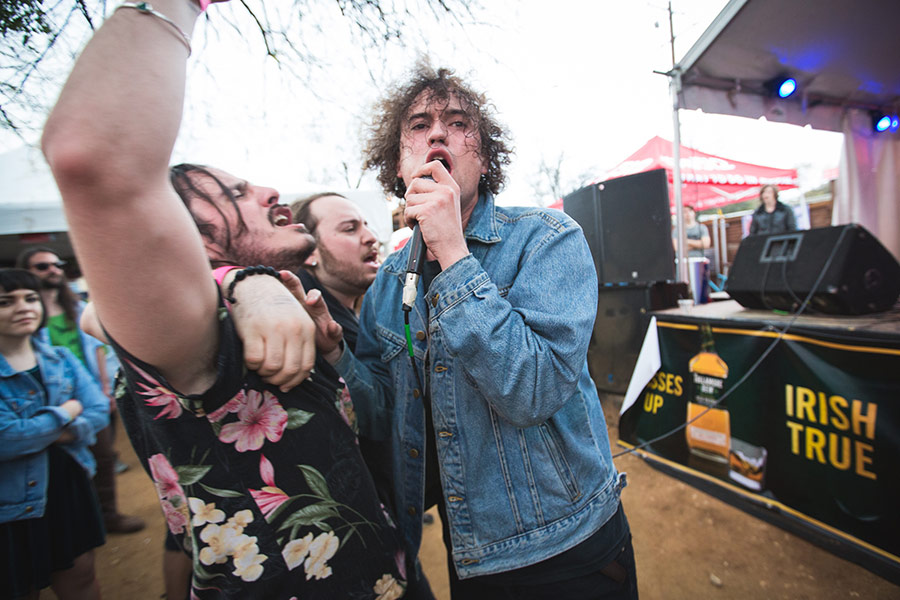 The Parrots