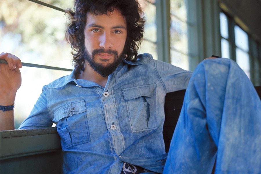 Cat Stevens