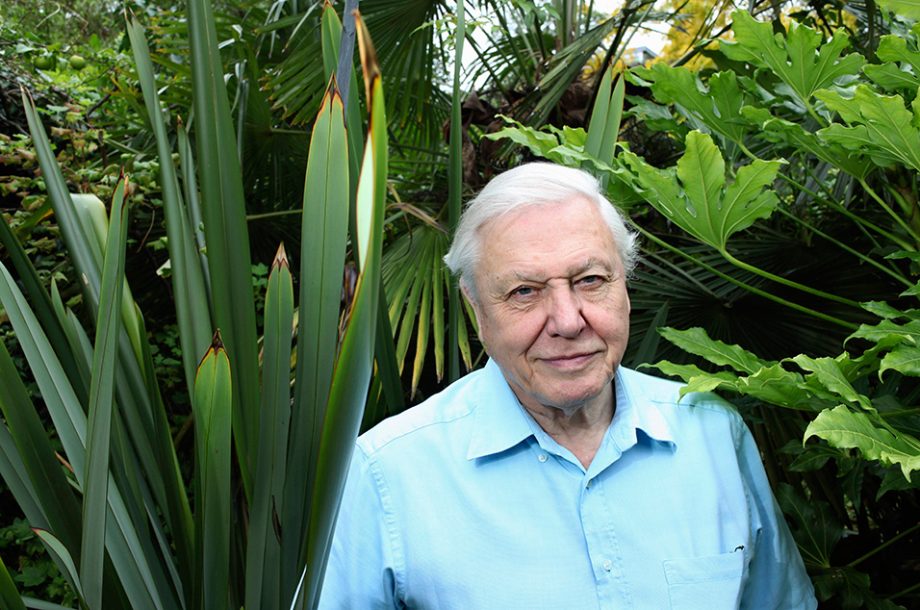 David Attenborough Planet Earth 3