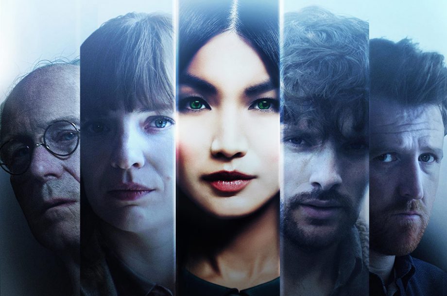 17. Humans