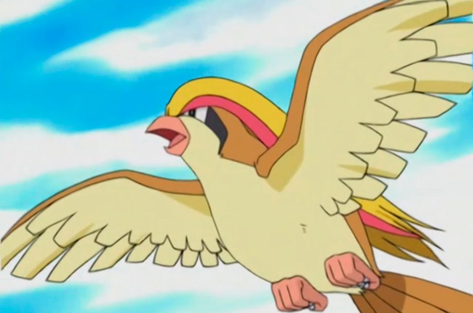 Pidgeot - #018