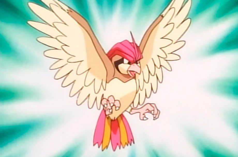 Pidgeotto - #017
